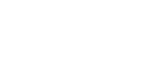 에이스 넷 logo