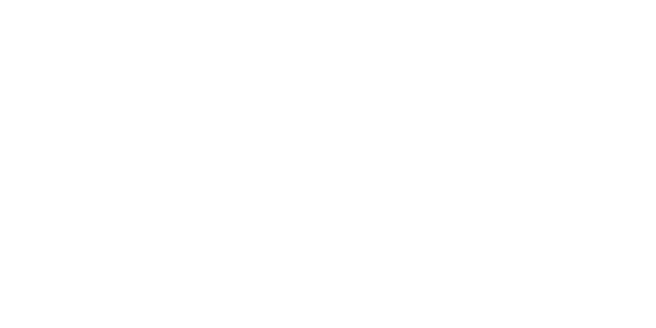 다이아몬드 칩 logo